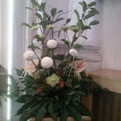 Img 20131210 Wa0001